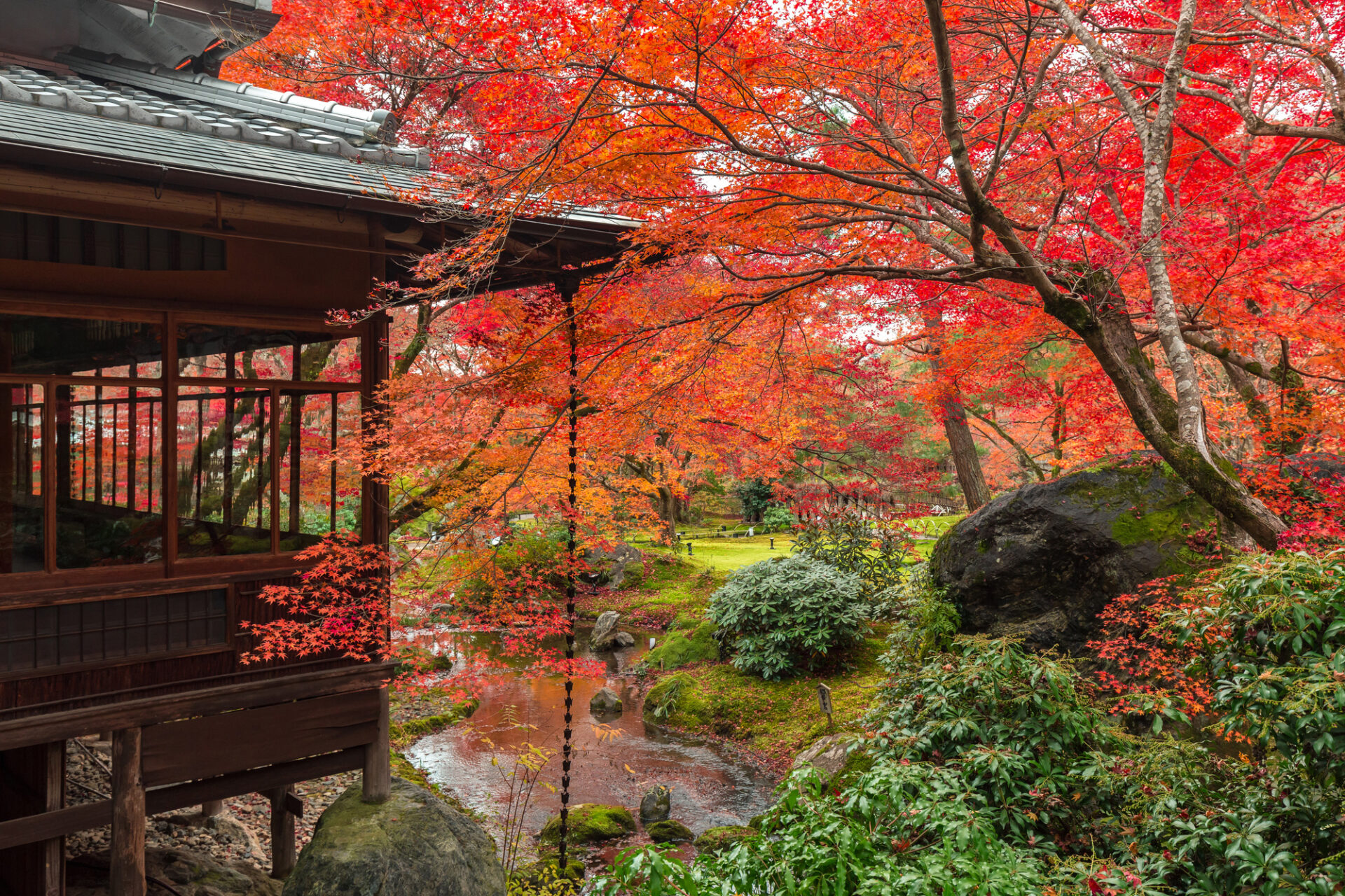 京都 紅葉 京都ブライトンホテル 貸し切り 宿泊 安楽寺 北野天満宮