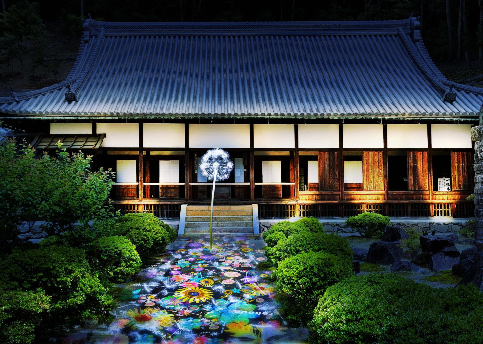 ダンデライオンプロジェクト ネイキッド 興聖寺 村松亮太郎 上賀茂神社 清水寺 平安神宮 京都府 京都市