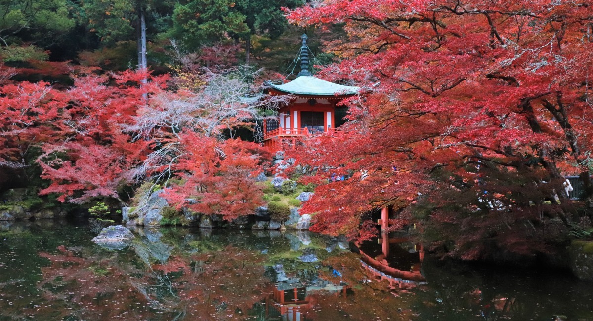 京都,醍醐寺,夜間拝観,奉納コンサート,弘法大師御誕生1250年,醍醐寺アカデミー・オープンテンプル,没入型展示,Matter's  Whisper～素材のささやき,特別限定御朱印